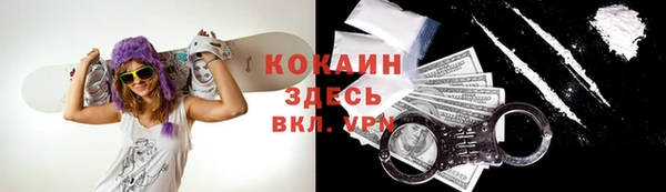 стафф Краснослободск