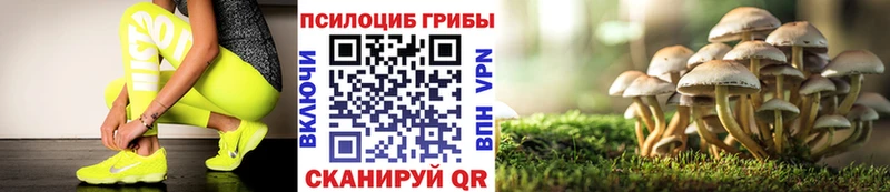Галлюциногенные грибы ЛСД  Купить закладки  Красково 